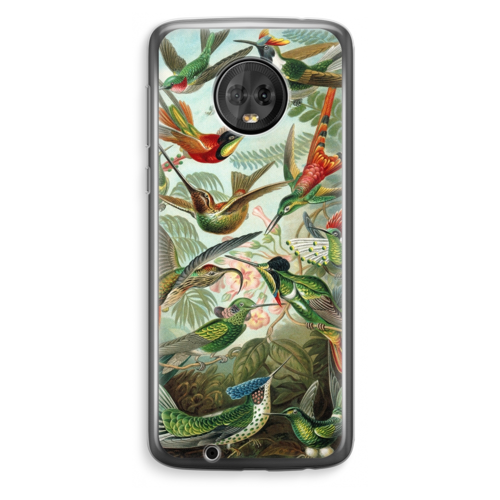 Motorola Moto G6 Plus Transparant Hoesje Soft Haeckel Trochilidae motorola kopen in de aanbieding