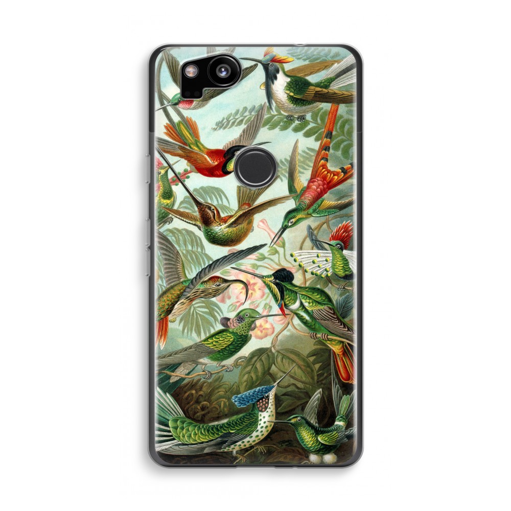 Google Pixel 2 Transparant Hoesje Soft Haeckel Trochilidae google kopen in de aanbieding