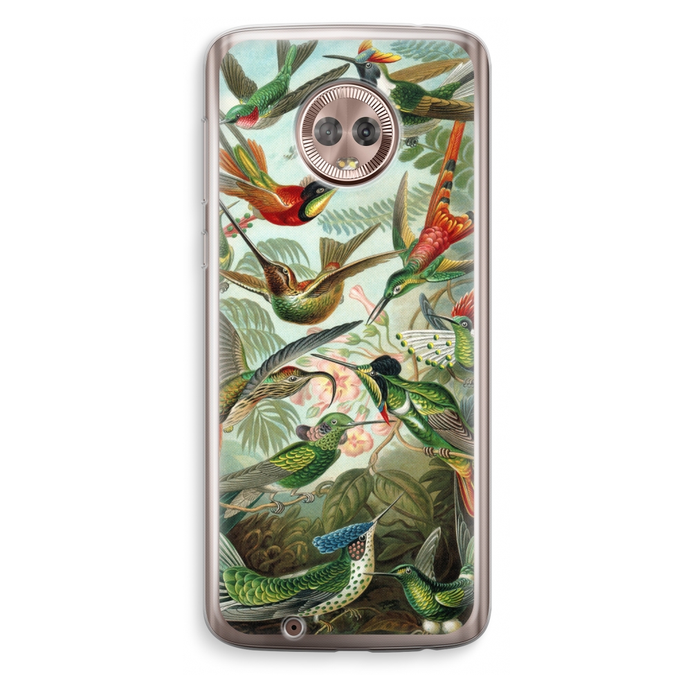 Motorola Moto G6 Transparant Hoesje Soft Haeckel Trochilidae motorola kopen in de aanbieding Motorola Moto G6 Transparant Hoesje Soft Haeckel Trochilidae motorola kopen in de aanbieding