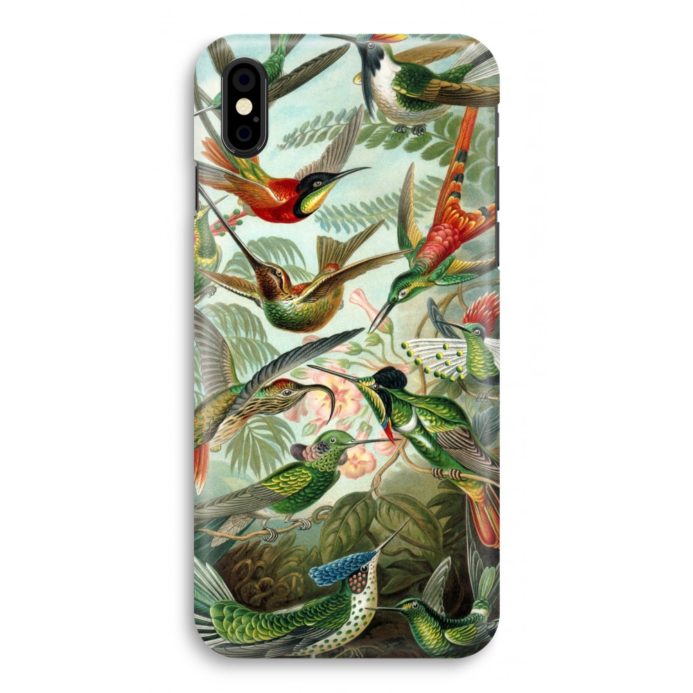 Apple Iphone X Volledig Geprint Hoesje Hard Haeckel Trochilidae apple kopen in de aanbieding Apple Iphone X Volledig Geprint Hoesje Hard Haeckel Trochilidae apple kopen in de aanbieding
