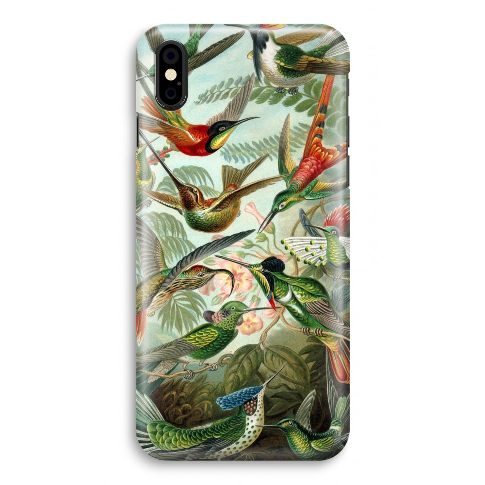 Apple Iphone Xs Volledig Geprint Hoesje Hard Glossy Haeckel Trochilidae apple kopen in de aanbieding