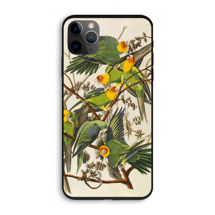 Carolinaparkiet: iPhone 11 Pro Biologisch afbreekbaar hoesje