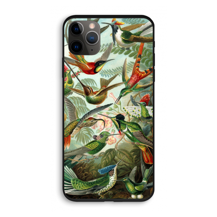 Haeckel Trochilidae: iPhone 11 Pro Biologisch afbreekbaar hoesje