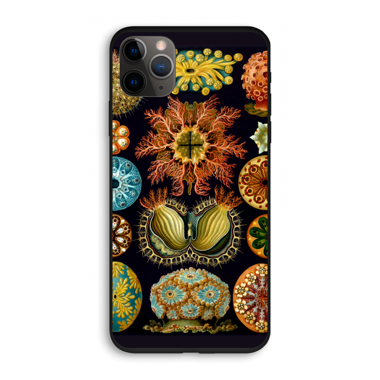 Haeckel Ascidiae: iPhone 11 Pro Biologisch afbreekbaar hoesje