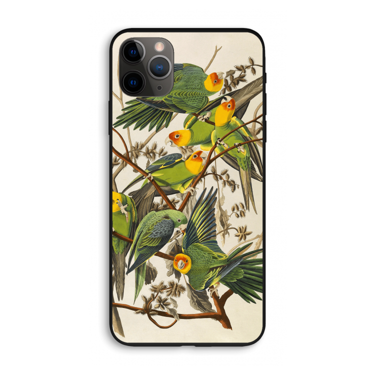 Carolinaparkiet: iPhone 11 Pro Max Biologisch afbreekbaar hoesje
