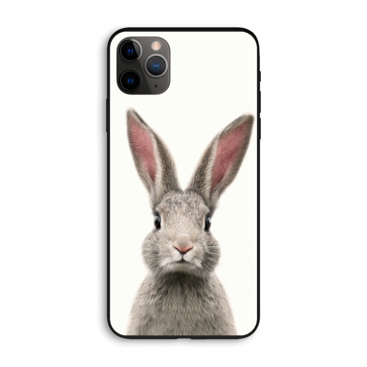 Daisy: iPhone 11 Pro Max Biologisch afbreekbaar hoesje