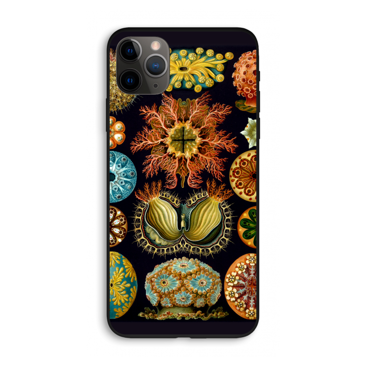 Haeckel Ascidiae: iPhone 11 Pro Max Biologisch afbreekbaar hoesje
