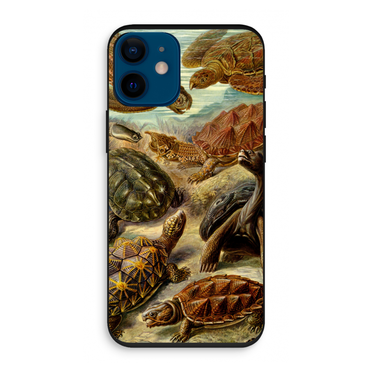 Haeckel Chelonia: iPhone 12 mini Biologisch afbreekbaar hoesje