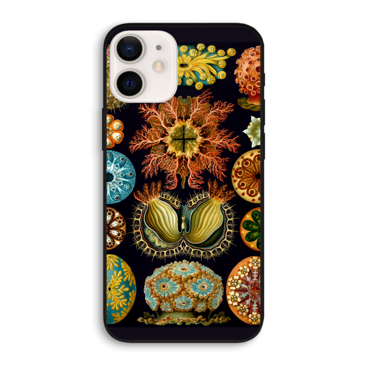 Haeckel Ascidiae: iPhone 12 Pro Biologisch afbreekbaar hoesje