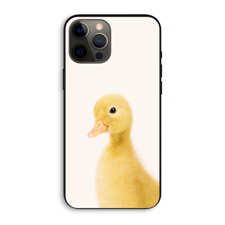 Duke: iPhone 12 Pro Max Biologisch afbreekbaar hoesje