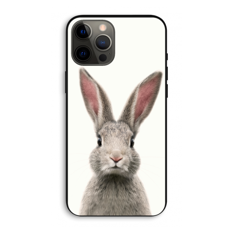 Daisy: iPhone 12 Pro Max Biologisch afbreekbaar hoesje