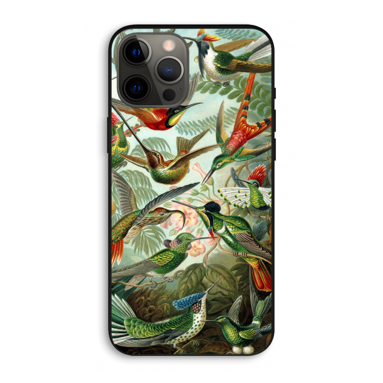 Haeckel Trochilidae: iPhone 12 Pro Max Biologisch afbreekbaar hoesje