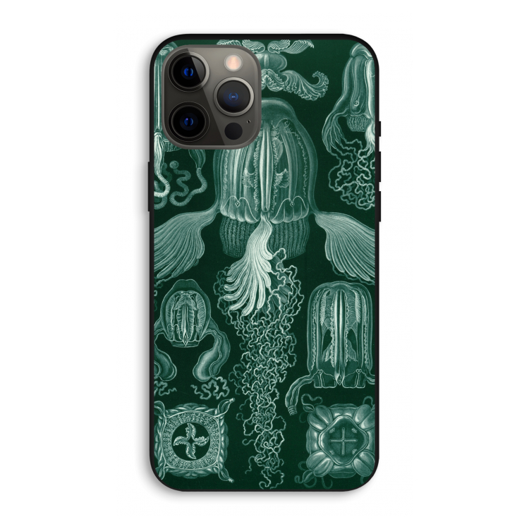 Haeckel Cubomedusae: iPhone 12 Pro Max Biologisch afbreekbaar hoesje