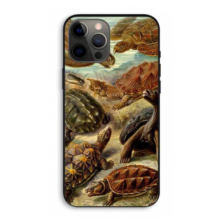 Haeckel Chelonia: iPhone 12 Pro Max Biologisch afbreekbaar hoesje