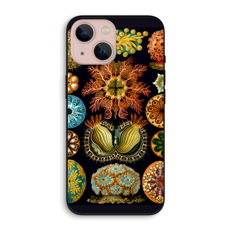 Haeckel Ascidiae: iPhone 13 Biologisch afbreekbaar hoesje