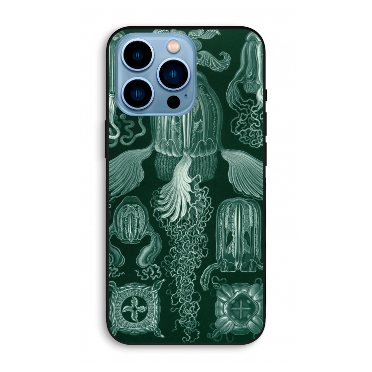 Haeckel Cubomedusae: iPhone 13 Pro Max Biologisch afbreekbaar hoesje