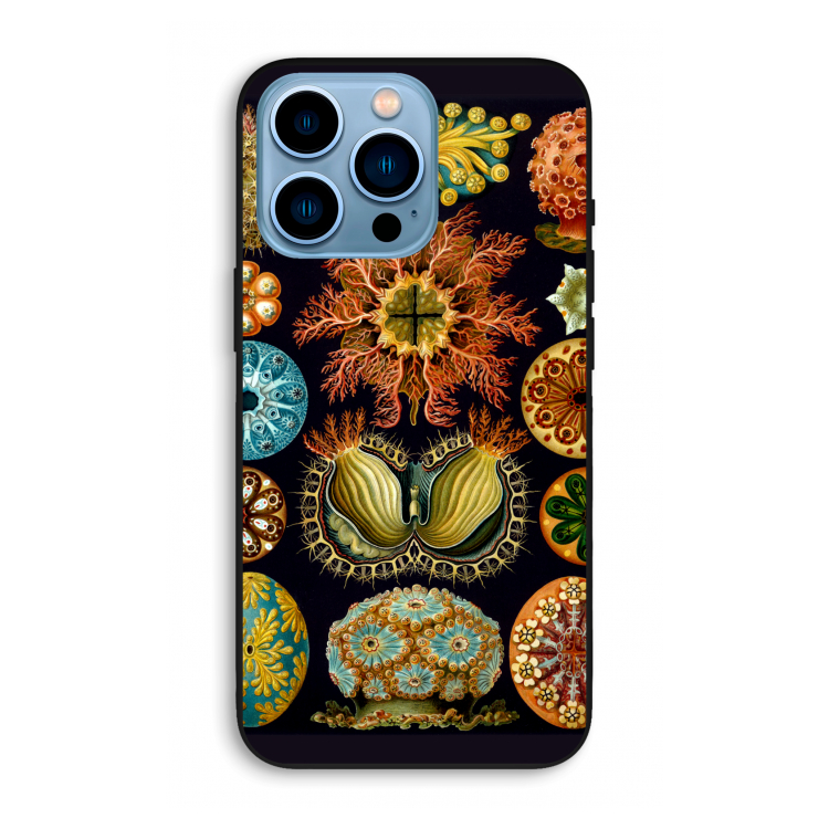 Haeckel Ascidiae: iPhone 13 Pro Max Biologisch afbreekbaar hoesje