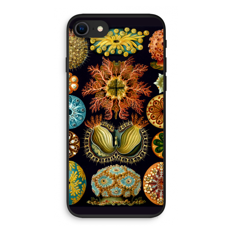 Haeckel Ascidiae: iPhone 8 Biologisch afbreekbaar hoesje
