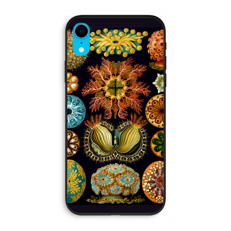 Haeckel Ascidiae: iPhone XR Biologisch afbreekbaar hoesje