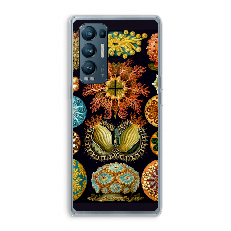 Haeckel Ascidiae: Oppo Find X3 Neo Transparant Hoesje