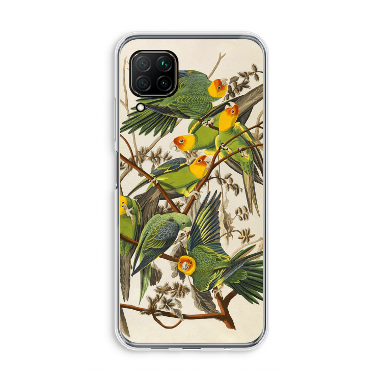 Carolinaparkiet: Huawei P40 Lite Transparant Hoesje