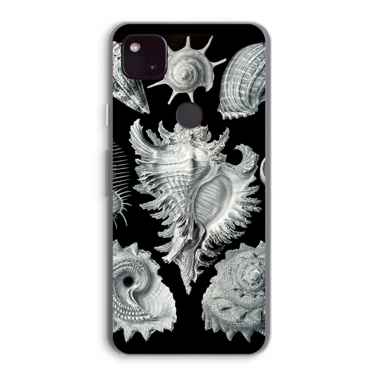 Haeckel Prosobranchia: Google Pixel 4a 5G Transparant Hoesje