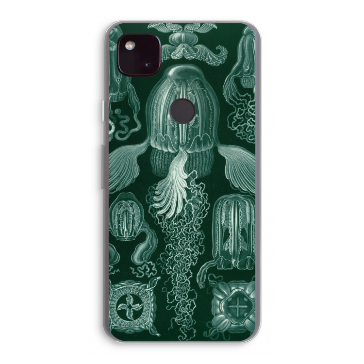 Haeckel Cubomedusae: Google Pixel 4a 5G Transparant Hoesje