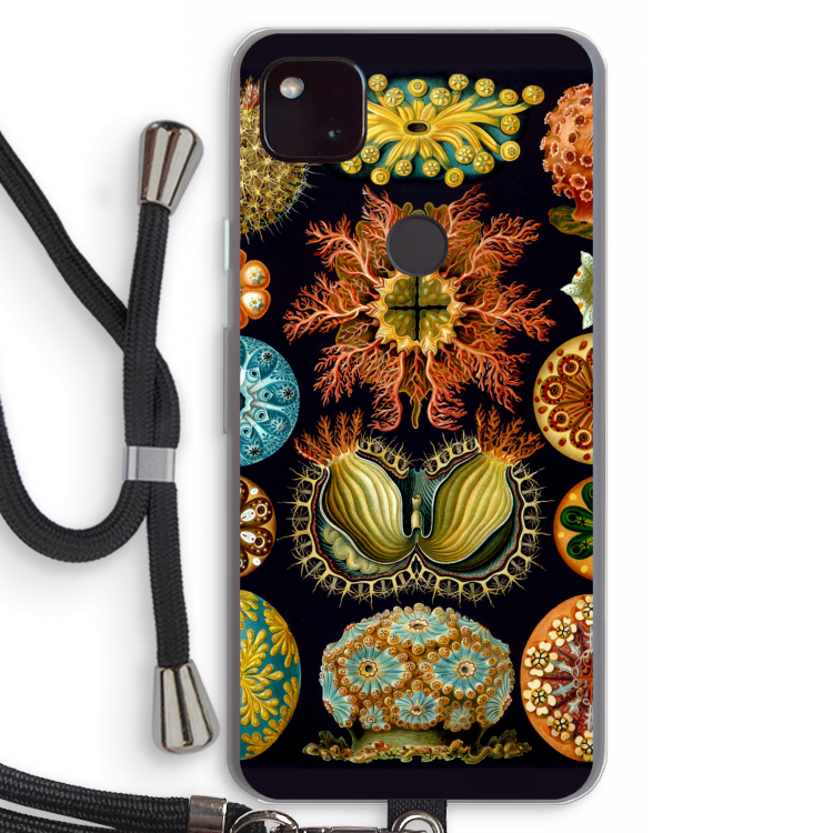 Haeckel Ascidiae: Pixel 4a 5G Transparant Hoesje met koord