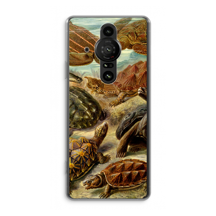 Haeckel Chelonia: Sony Xperia Pro-I Transparant Hoesje