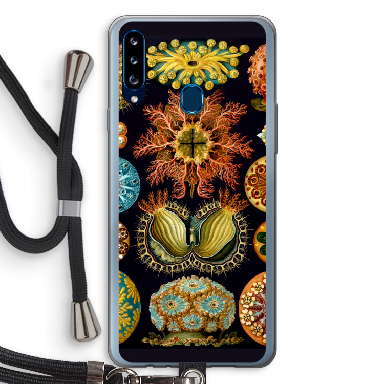 Haeckel Ascidiae: Samsung Galaxy A20s Transparant Hoesje met koord