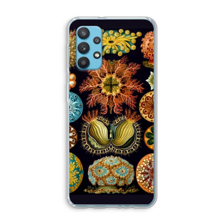 Haeckel Ascidiae: Samsung Galaxy A32 4G Transparant Hoesje