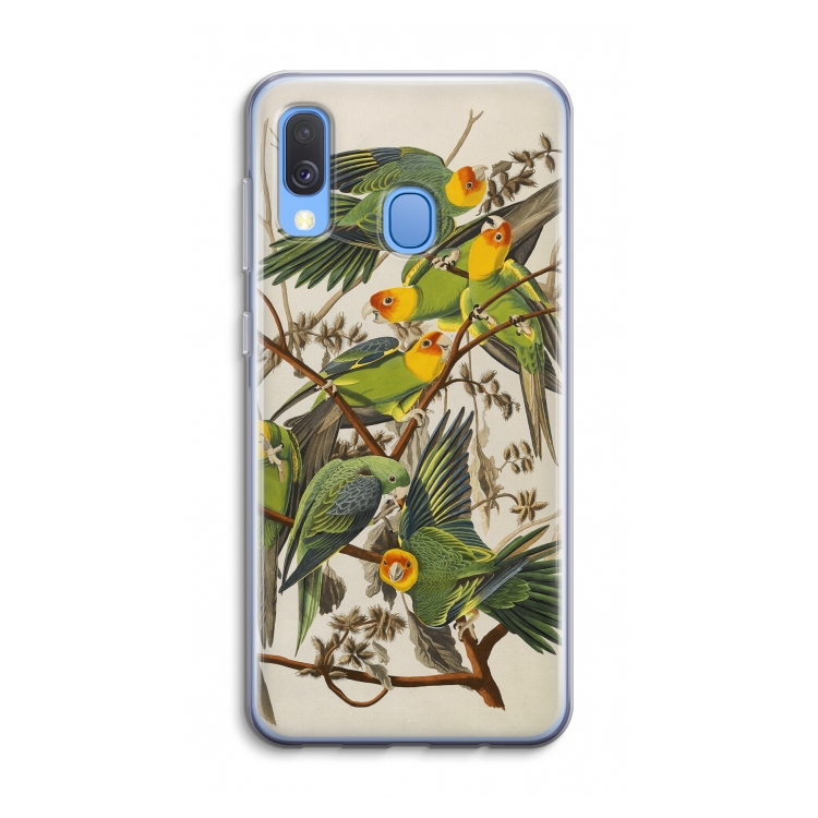 Carolinaparkiet: Samsung Galaxy A40 Transparant Hoesje