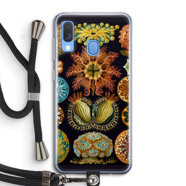 Haeckel Ascidiae: Samsung Galaxy A40 Transparant Hoesje met koord