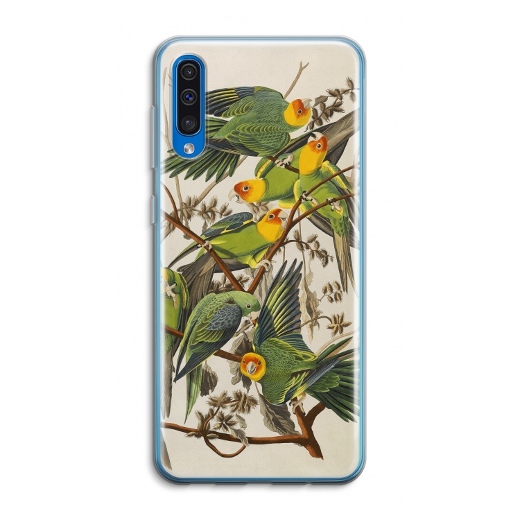 Carolinaparkiet: Samsung Galaxy A50 Transparant Hoesje