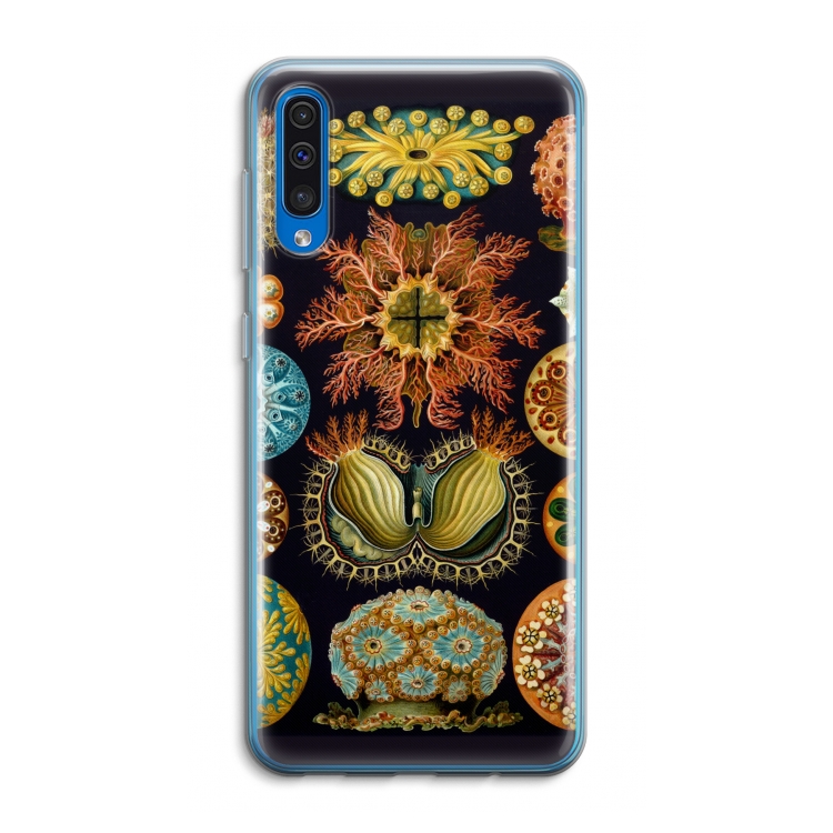 Haeckel Ascidiae: Samsung Galaxy A50 Transparant Hoesje