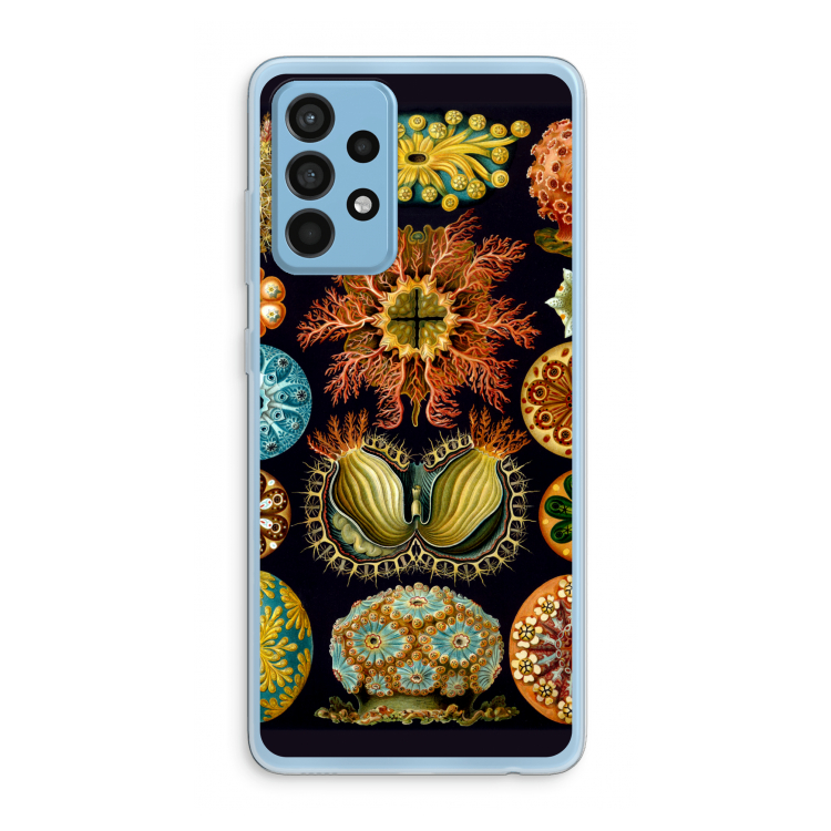 Haeckel Ascidiae: Samsung Galaxy A52 Transparant Hoesje