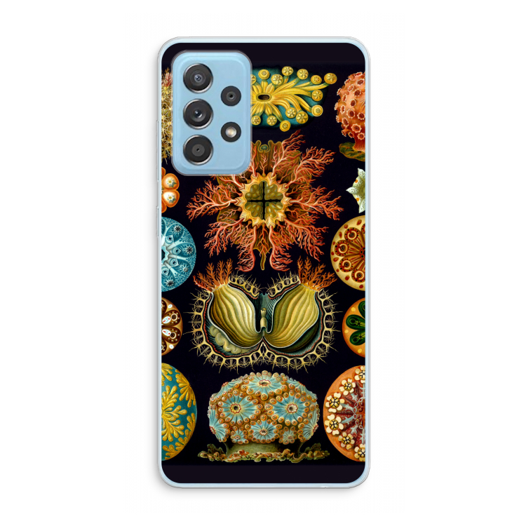Haeckel Ascidiae: Samsung Galaxy A73 Transparant Hoesje