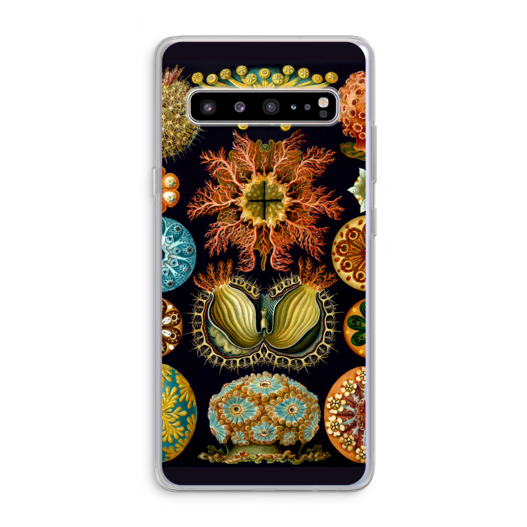 Haeckel Ascidiae: Samsung Galaxy S10 5G Transparant Hoesje