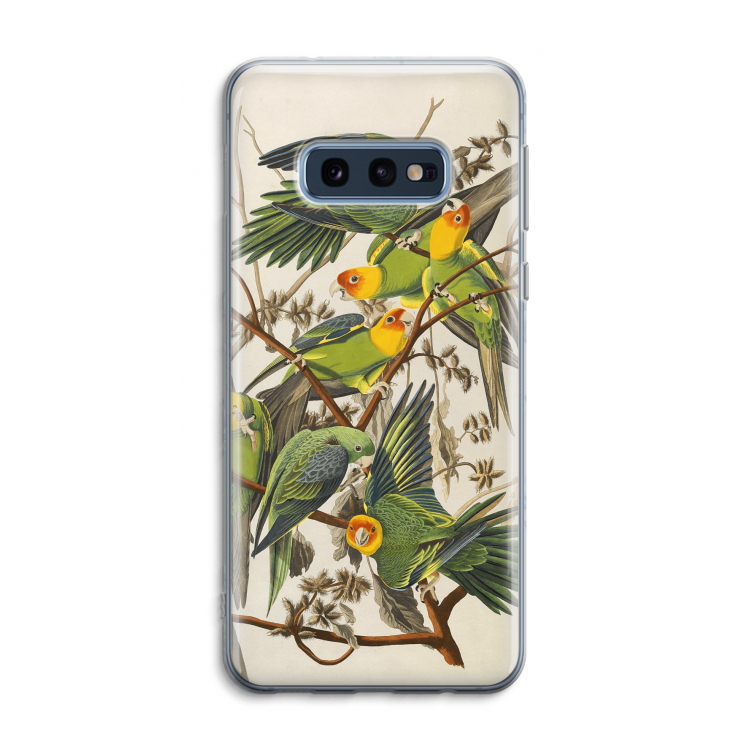 Carolinaparkiet: Samsung Galaxy S10e Transparant Hoesje