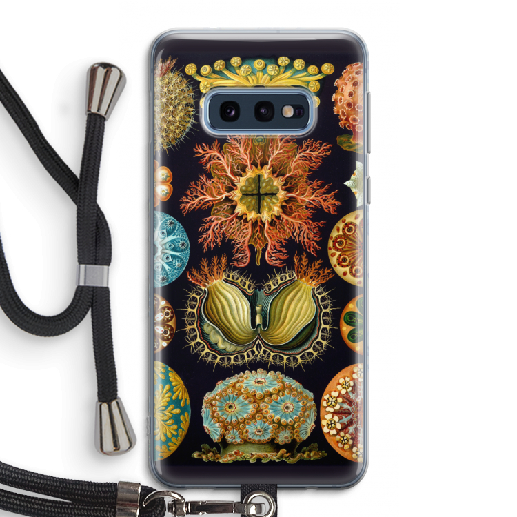 Haeckel Ascidiae: Samsung Galaxy S10e Transparant Hoesje met koord