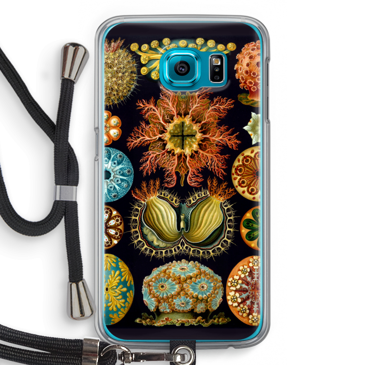 Haeckel Ascidiae: Samsung Galaxy S6 Transparant Hoesje met koord
