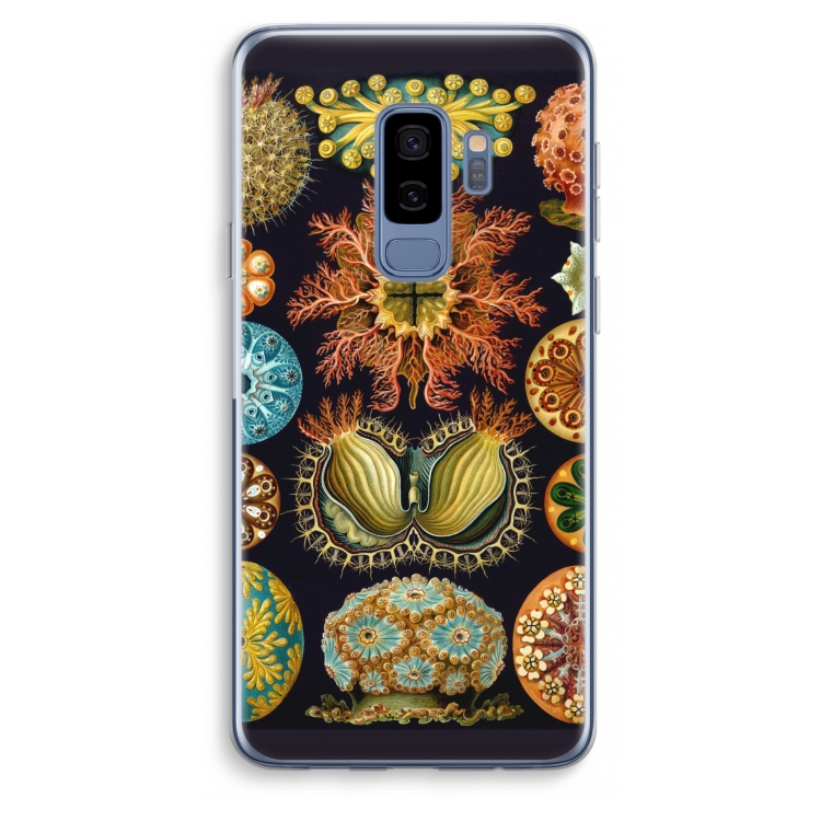 Haeckel Ascidiae: Samsung Galaxy S9 Plus Transparant Hoesje