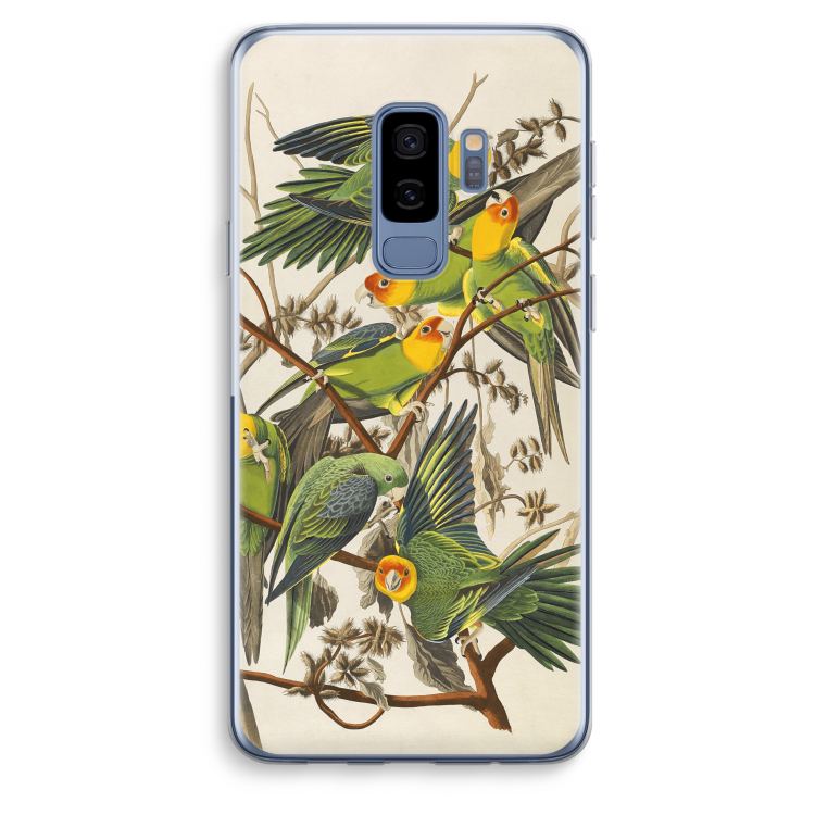 Carolinaparkiet: Samsung Galaxy S9 Plus Transparant Hoesje