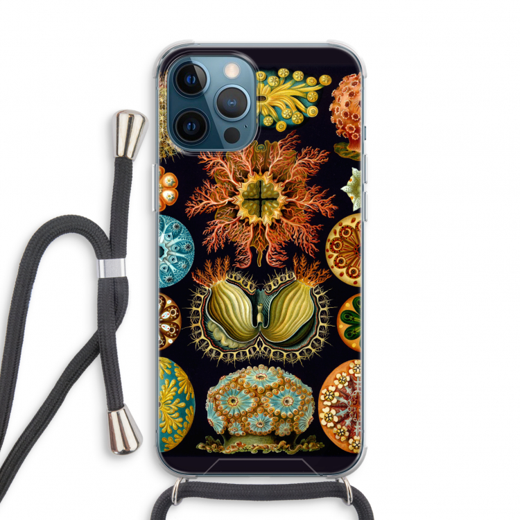 Haeckel Ascidiae: iPhone 12 Pro Transparant Hoesje met koord