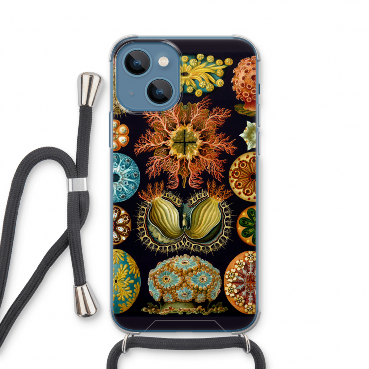 Haeckel Ascidiae: iPhone 13 mini Transparant Hoesje met koord