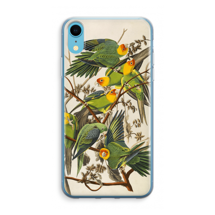 Carolinaparkiet: iPhone XR Transparant Hoesje