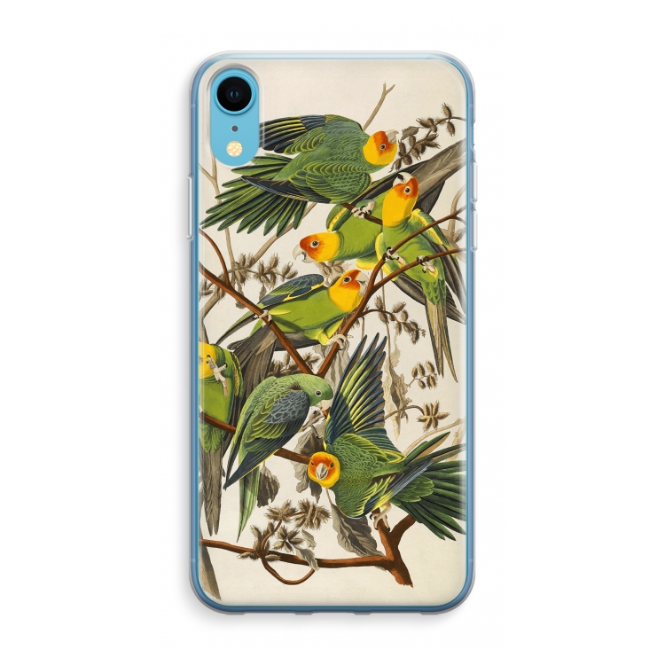 Carolinaparkiet: iPhone XR Transparant Hoesje