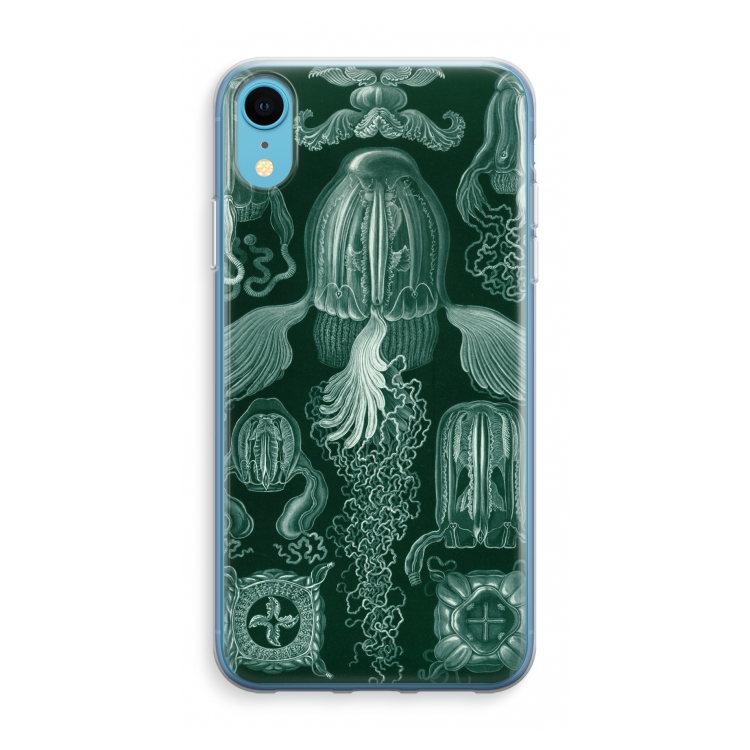 Haeckel Cubomedusae: iPhone XR Transparant Hoesje
