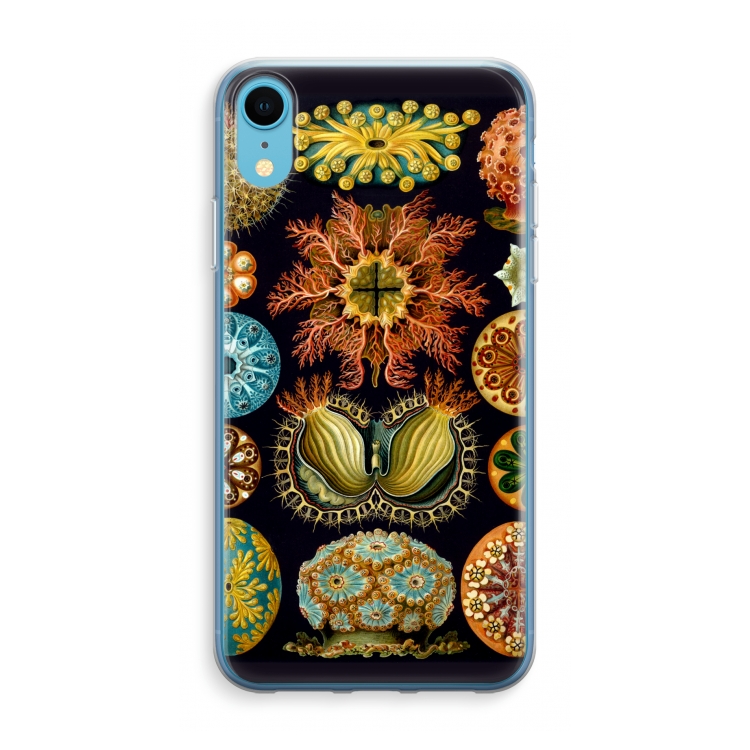 Haeckel Ascidiae: iPhone XR Transparant Hoesje