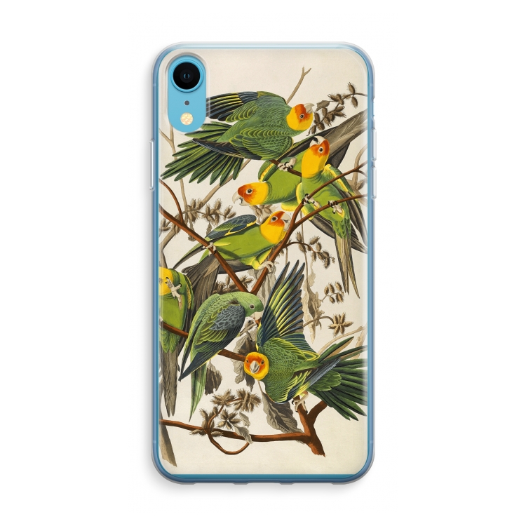 Carolinaparkiet: iPhone XR Transparant Hoesje